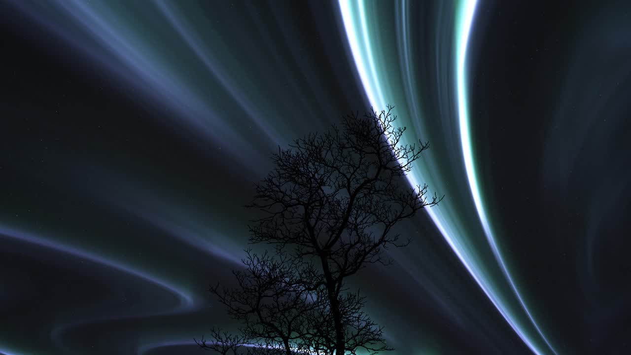 aurora boreal brillando sobre la silueta de un árbol desnudo