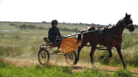 slow-mo of harness horse running