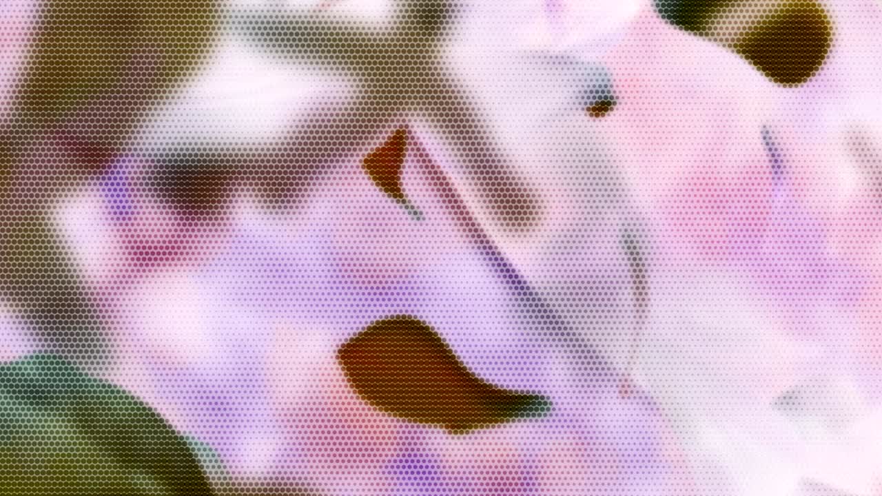 movimiento de fondo estilo matriz partículas generadas al azar chispas rayos de luz estelas estallidos vórtice