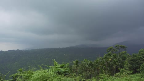 Während-Des-Monsuns-Wird-Die-Landschaft-Oder-Berglandschaft-Von-Nordbengalen-Wunderschön-2