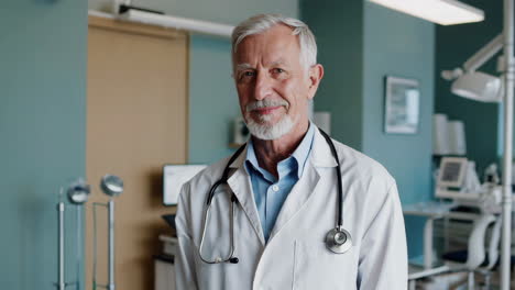 portrait of a senior doctor