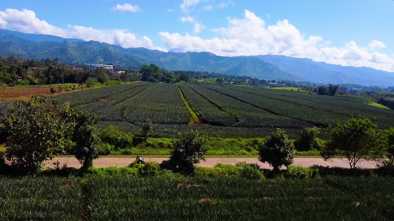 농장을 통과하는 오토바이의 드론 클립