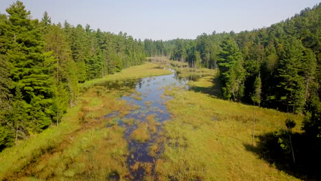 beautiful 4k aerial shot flying over a swampy river in a forest wilderness in ontario, canada