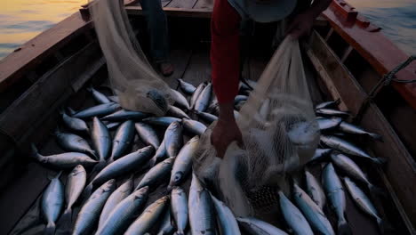 fishermen hauling a catch at sunrise