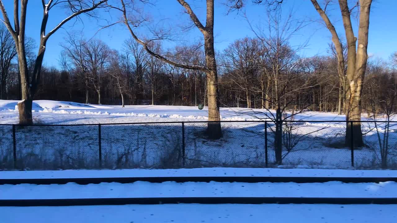 POV de inverno de um trem em movimento atravessando uma vasta área de floresta aberta coberta de neve, com árvores secas sem folhas e solo nevado sob condições sazonais frias.