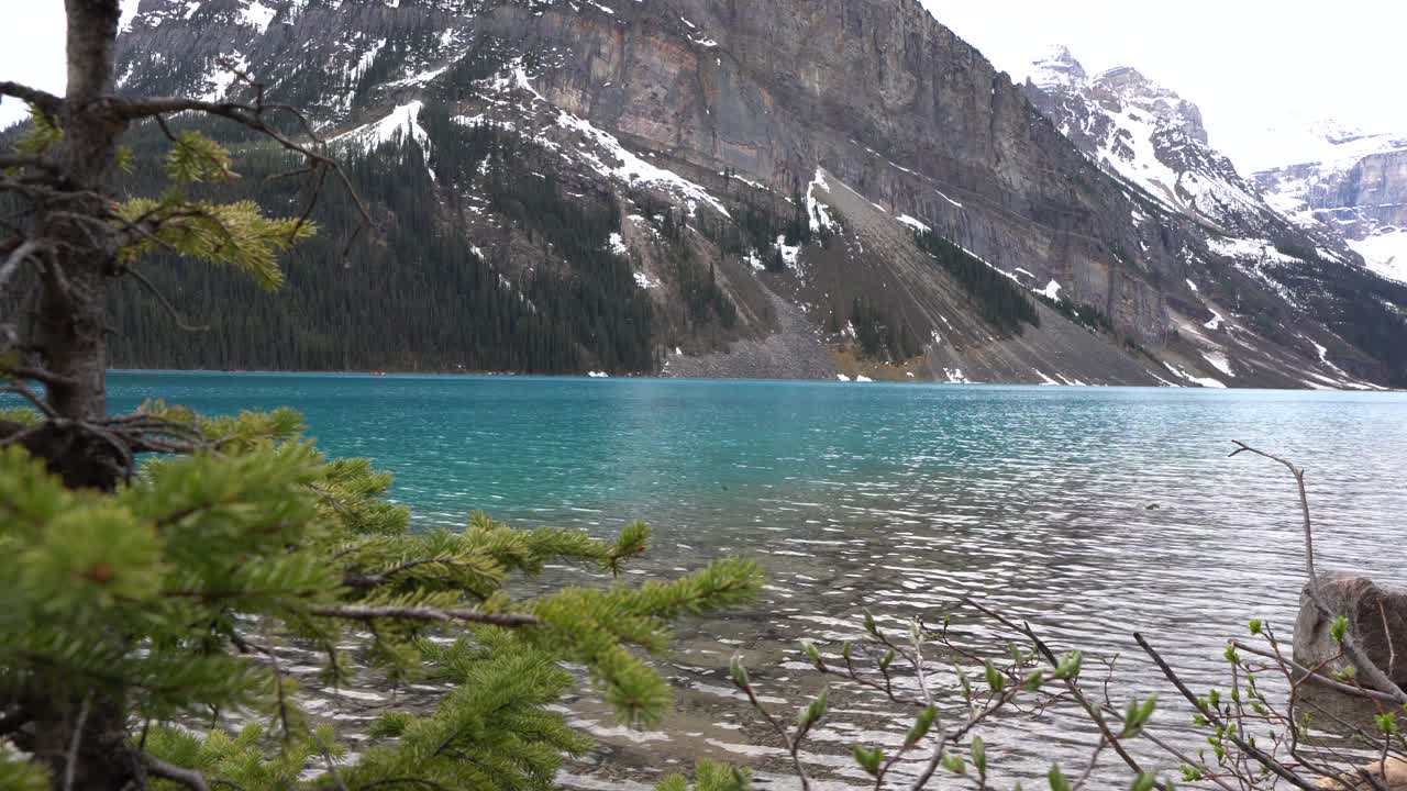 Banff Ulusal Parkı, Alberta, Kanada'da yer alan Louise Gölü (Küçük Balıklar Gölü). Kayalık Dağlar fonu ile 4K sabit görünüm.