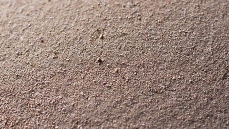 video of close up of sand grains with copy space background