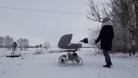 female mother walk to baby carriage, put hands in winter gloves and check baby