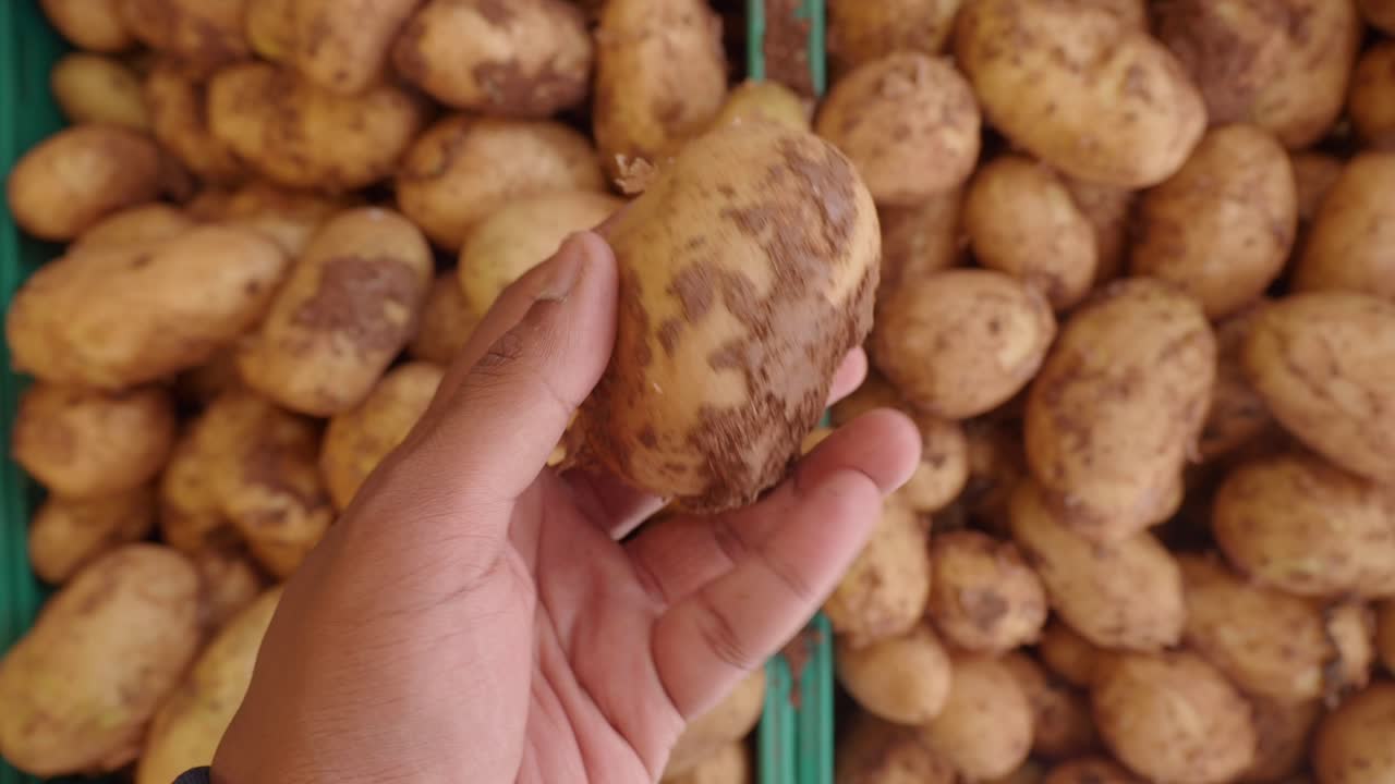 una persona sosteniendo una patata