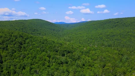 Aerial-view-of-forest-in-the-Catskill-Mountains,-Hudson-Valley,-in-Appalachian-Mountains-during-summer