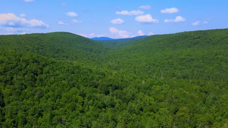 aerial view of forest in the catskill mountains, hudson valley, in appalachian mountains during summer