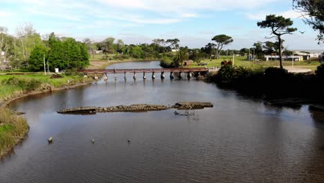 aerial video beautiful landscape flying over the river and vegetation going towards the wooden bridge