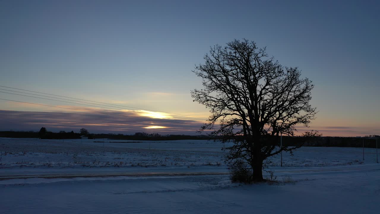 눈 인  위에서 겨울의 해가 뜨는 것