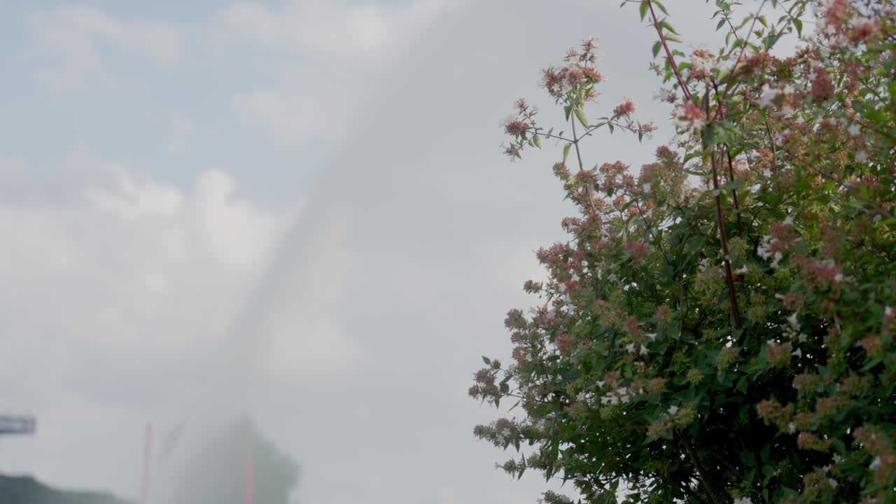 배경에 흔들리는 꽃과 스프링클러의 정적 슬로우 모션 샷