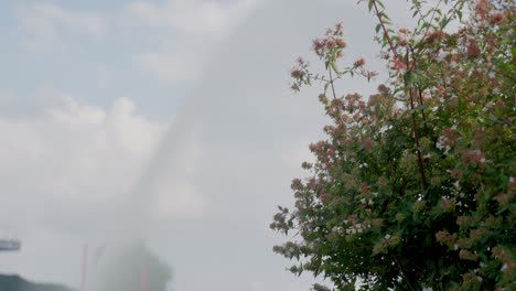 static slow motion shot of swaying flowers and sprinklers in background