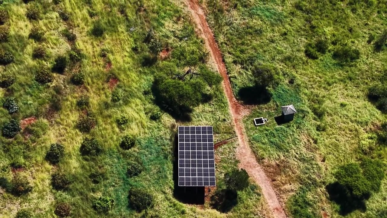 Hass Avocadofarm i Kenya, solcelledrevet landbrugsvanding, plantage, økologiske landmænd.
