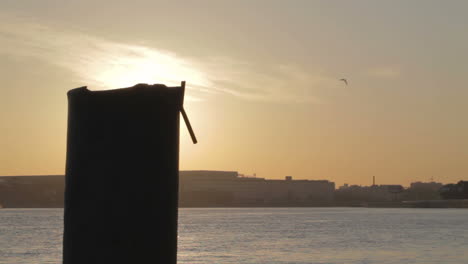 sunrise in saint petersburg