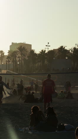 busy beach in sumer in vertical barcelona.