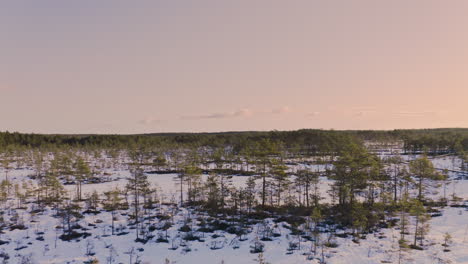 Antena-De-Pantano-De-Invierno-Temprano-En-La-Mañana