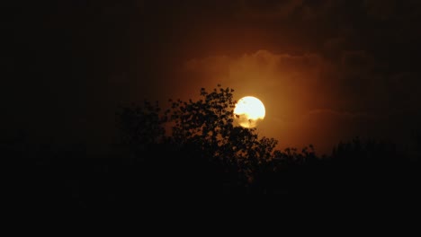 Sonnenaufgang,-Der-Den-Frühen-Morgennebel-über-Tennessee-Verbrennt