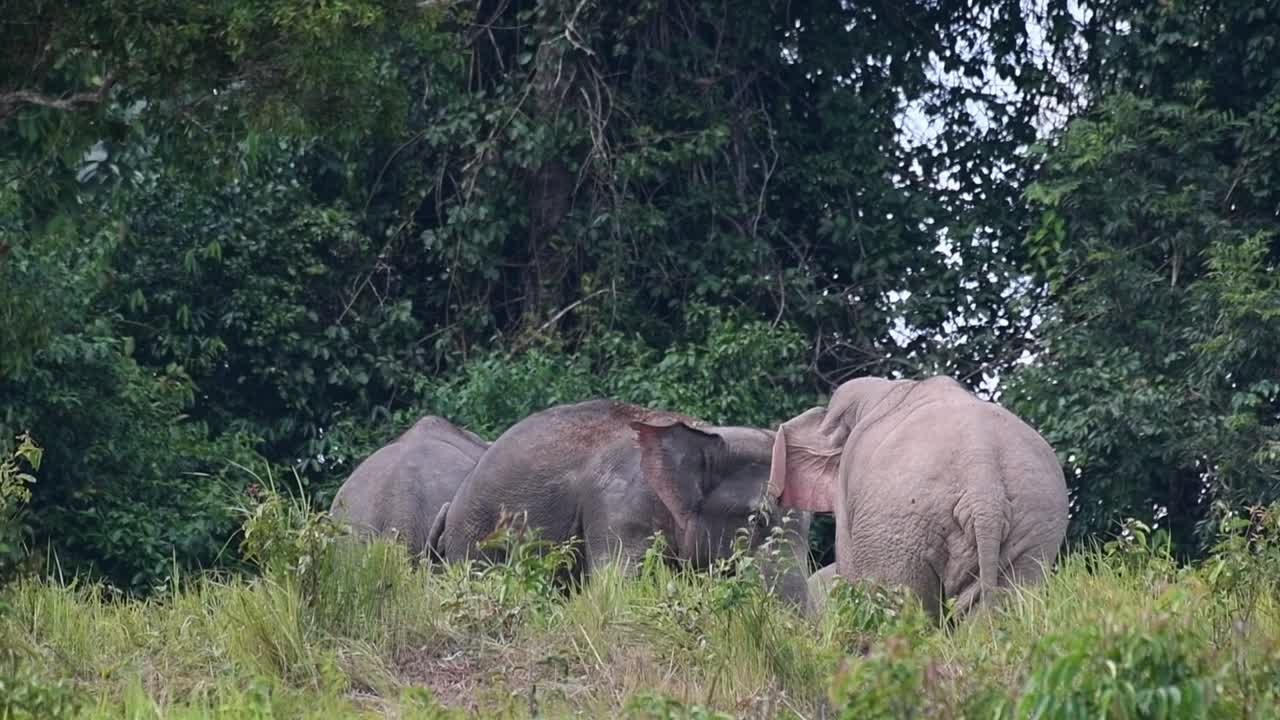 두 사람이 숲 밖에서 마주보고 있고, 카메라가 따라갈 때 두 사람이 오른쪽으로 이동합니다.