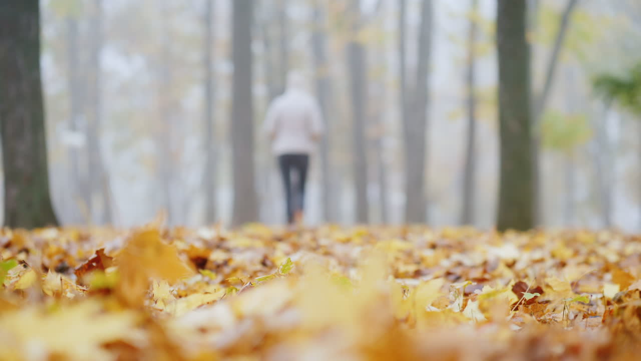 hojas caídas en el parque a lo lejos una silueta borrosa de una mujer