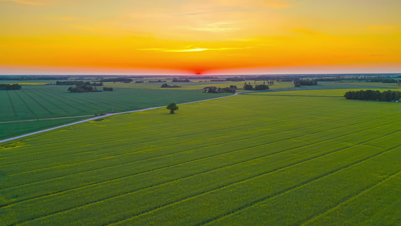 Golden sunset over green farmland fields of growing crops - aerial hyper lapse