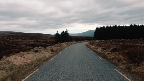 stable pov shot, as driving on an asphalt road through a burned out prairie wit a small group of pine tree