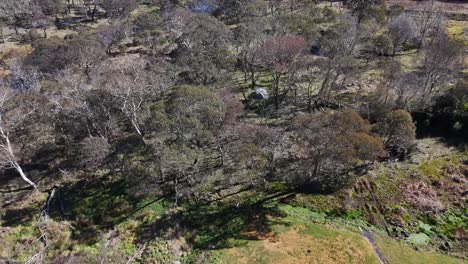 a drone ascends over a grassy campsite with parked caravans and vehicles, revealing surrounding woodland in bright midday sunlight with smooth camera movement