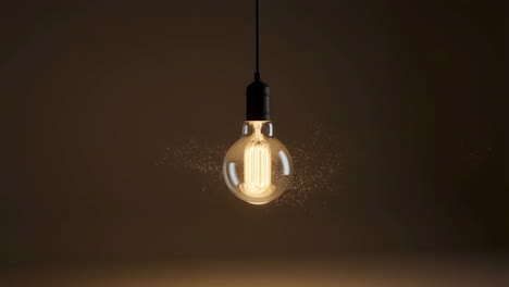 vintage edison bulb