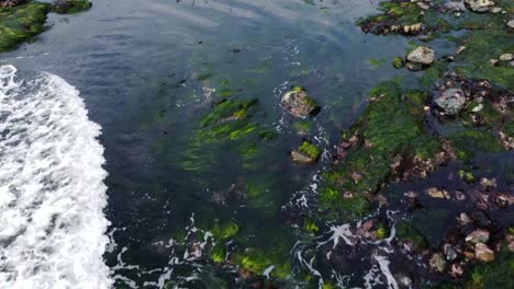 zona intermareal drone flyover dolly shot - tomado en la playa de sombrio en la isla de vancouver, bc