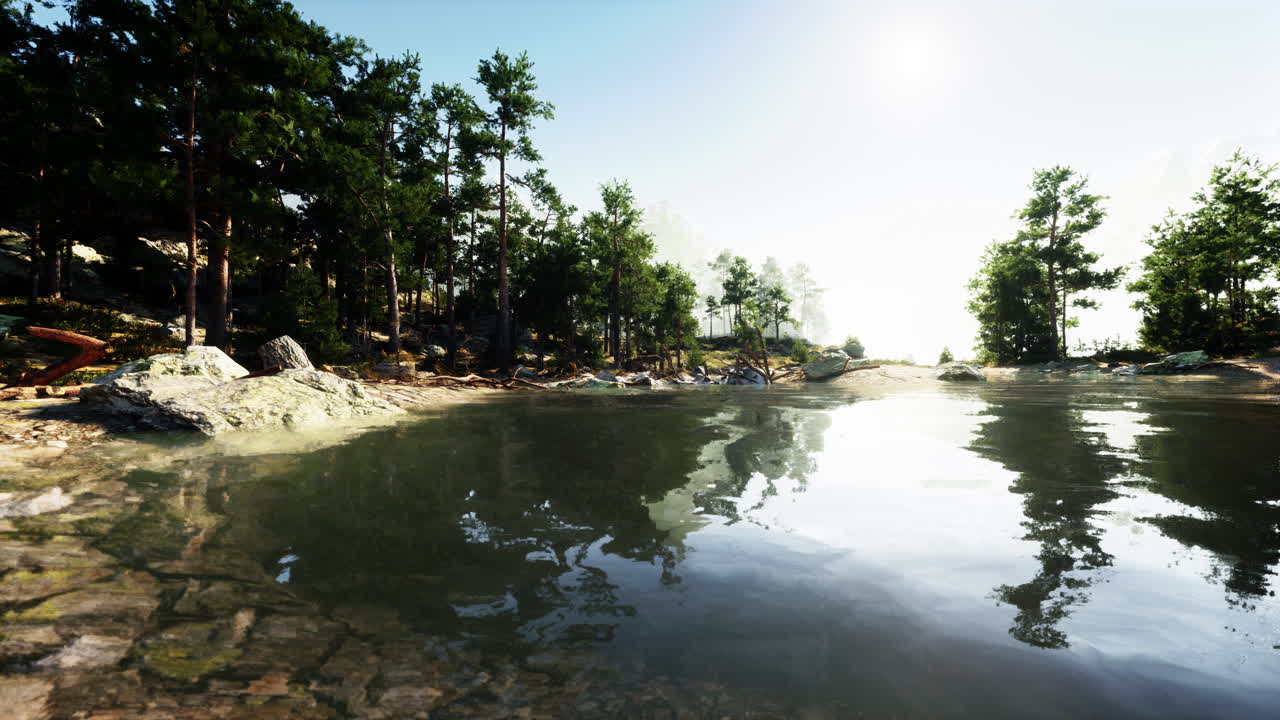 평화로운 숲 호수