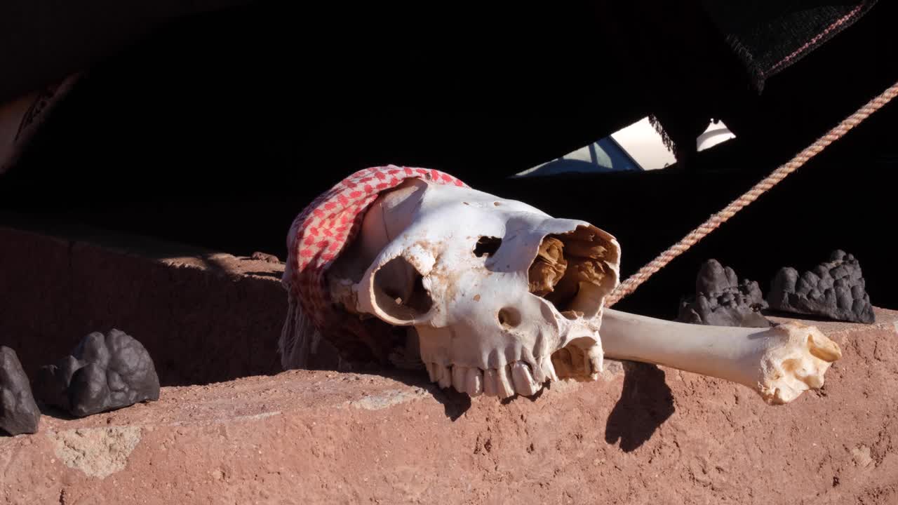 cráneo de camello árabe y restos óseos en una pared de arenisca roja en una tienda beduina en el desierto de wadi rum en jordania, oriente medio