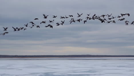 a large flock of birds flying in formation over a frozen lake under an overcast sky