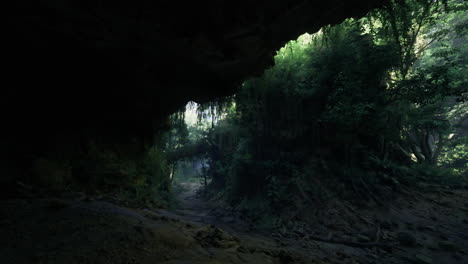 exploring a serene cave entrance surrounded by lush greenery