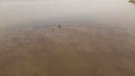 Filmflug-über-Flutseen-Und-Zwei-Motorradfahrer,-Die-über-Die-Wasseroberfläche-In-Argentinien-Fahren