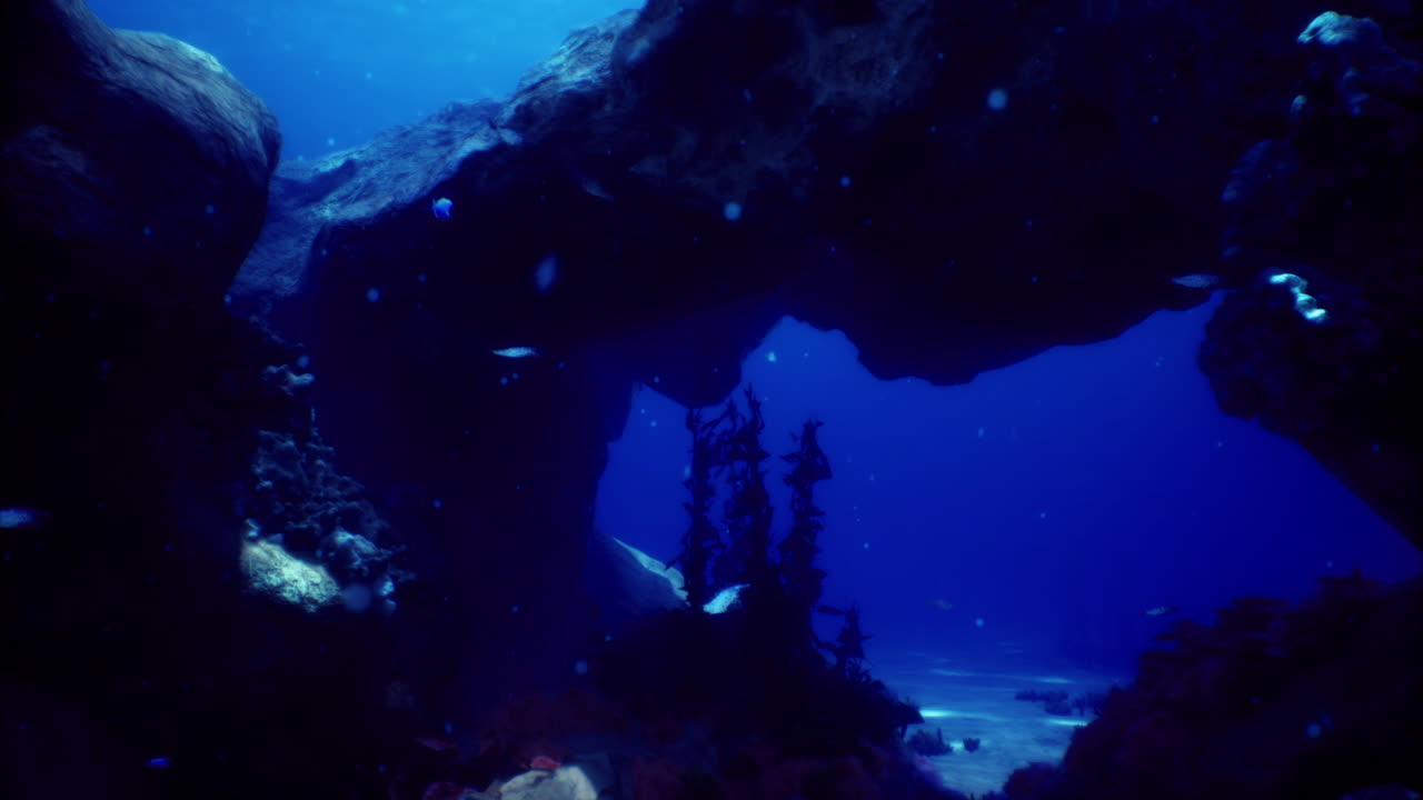 Cave diving uncovers vibrant marine life in serene blue waters