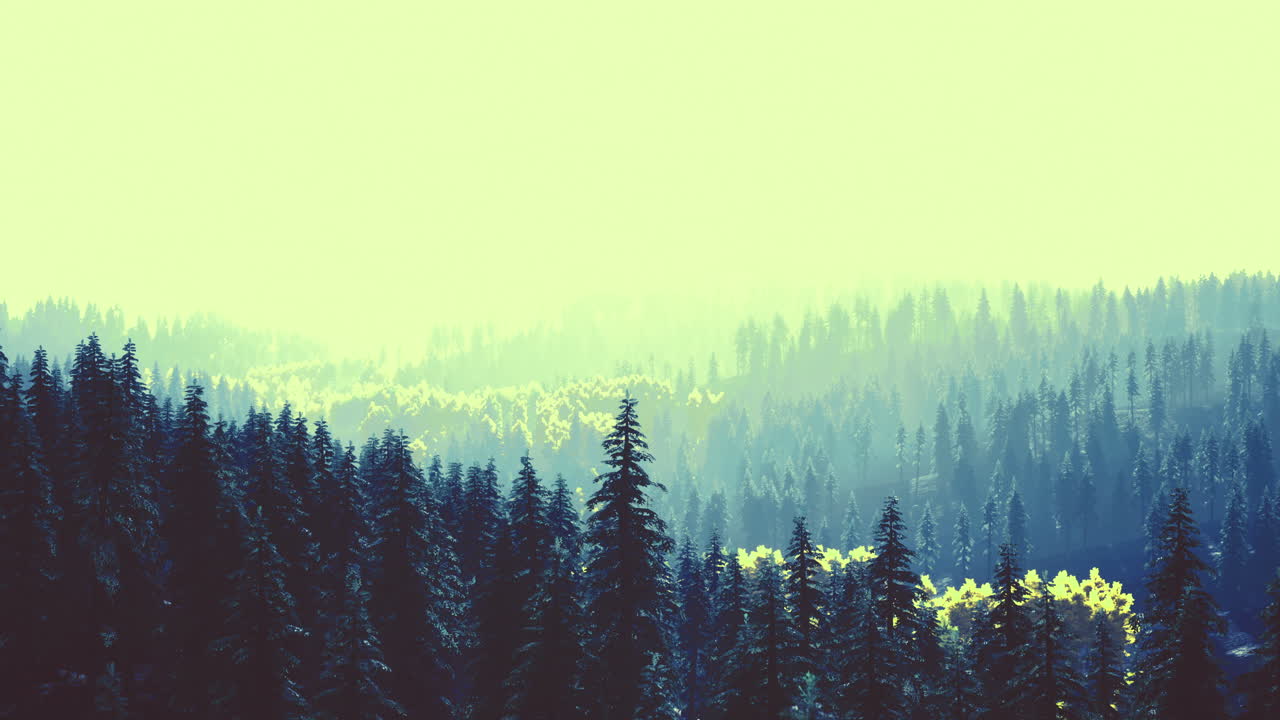 Majestic forest landscape bathed in golden sunlight at dawn