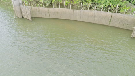 Delfines-De-Río-Cerca-De-Una-Gran-Pared-Hecha-Por-Pescadores-En-Un-Río-Amazónico---Para,-Brasil