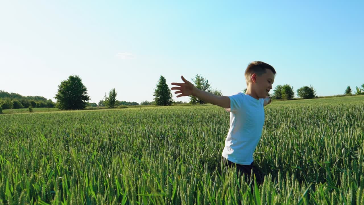 a boy with open hands is running across a field of wheat in the summer. Slow motion
