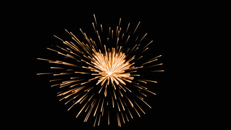 Vibrant fireworks burst celebration animated overlay, transparent 4K video, alpha channel, ProRes