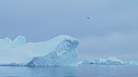 Slow-Motion-Birds-Flying-in-Antarctica-Landscape,-Seabirds-in-Flight-Flying-Past-Icebergs-Ice-Formations-and-Shapes-in-Winter-Scenery-in-Beautiful-Dramatic-Snowy-Snow-Covered-Scene