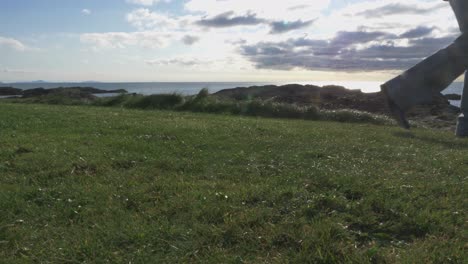 A-Man-With-A-Self-Propelled-Trimmer-Cuts-Grass-In-A-Lawn-Near-The-Sea-3