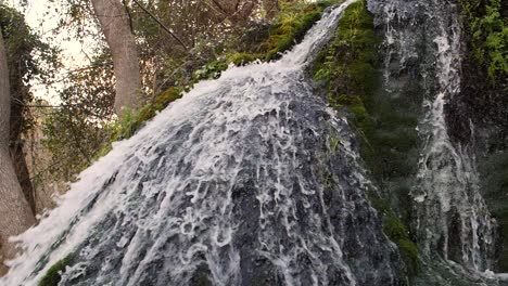 cascada de forest creek en cámara lenta