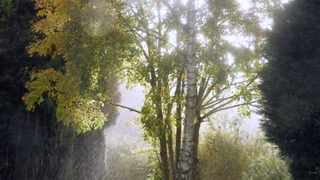 Rain-falls-as-angelic-sun-shine-beams-through-the-trees-in-the-woods