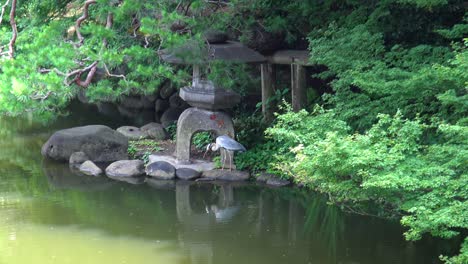 la vista de la grúa en el lago del lado de la roca en el jardín nacional shinjuku gyoen