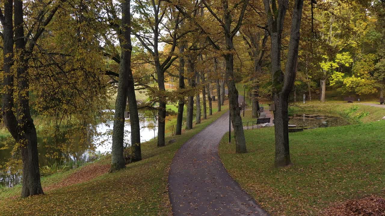 Allée d'arbres dorés avec sentier dans un parc local en automne, travelling avant
