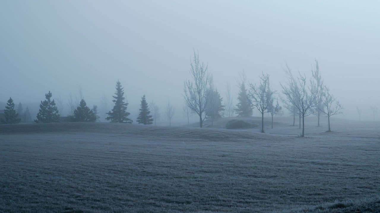 Parkområde dækket af rimfrost og tåge på en kold vintermorgen