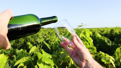 wine being poured into glass in vineyard