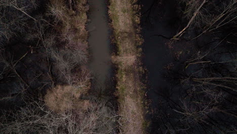 Loosahatchie-River-Im-Winter,-Kahle-Bäume-Entlang-Des-Wasserwegs,-Bewölkter-Tag,-Ruhige-Landschaft,-Luftaufnahme